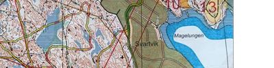 Svartvik Night
