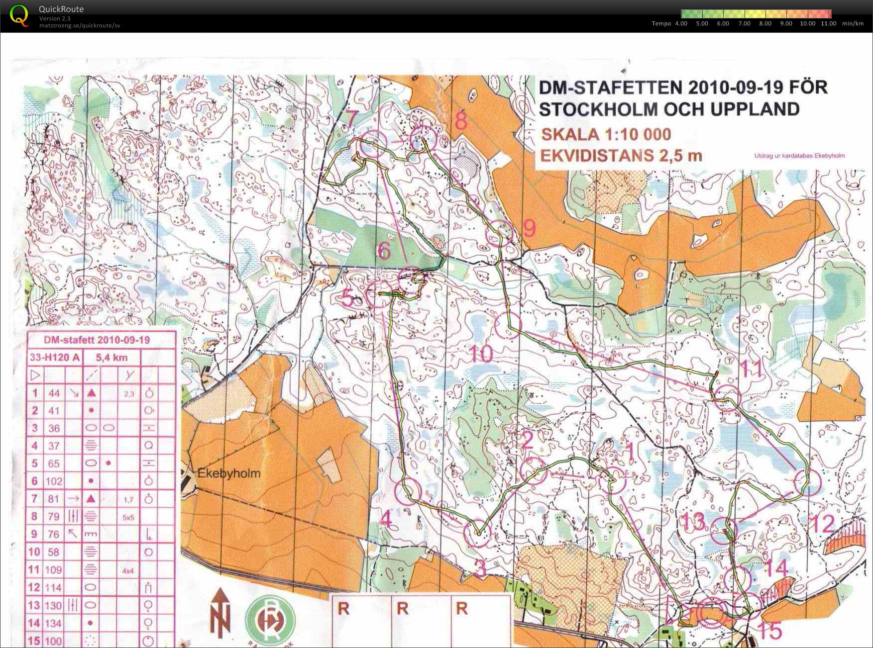 Stafett DM H120 (2010-09-19)