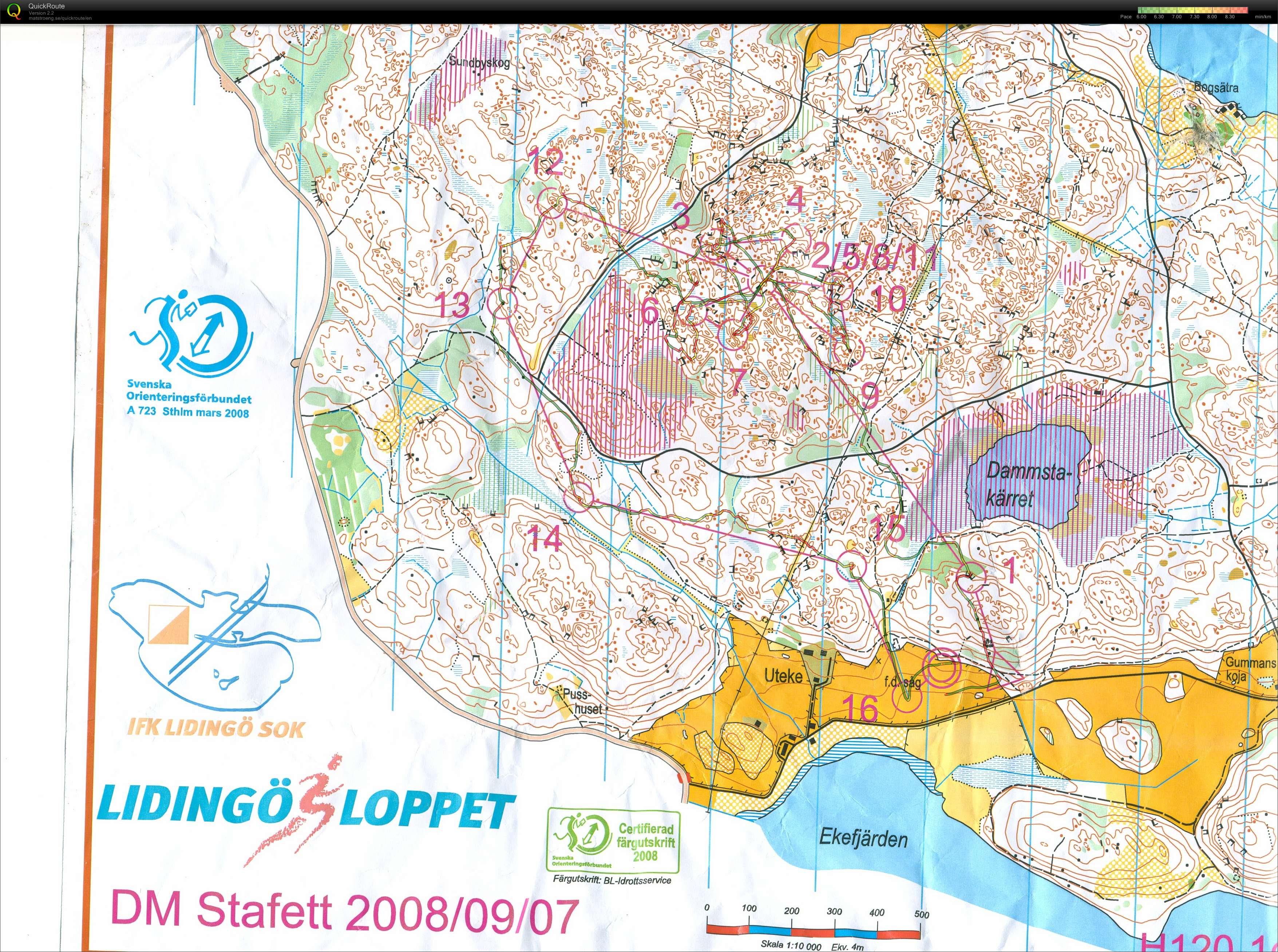 Stafett DM Stockholm (2008-09-07)