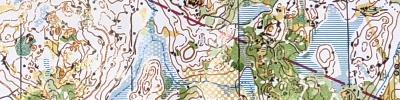 SM lång kval