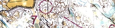 Måsenstafetten