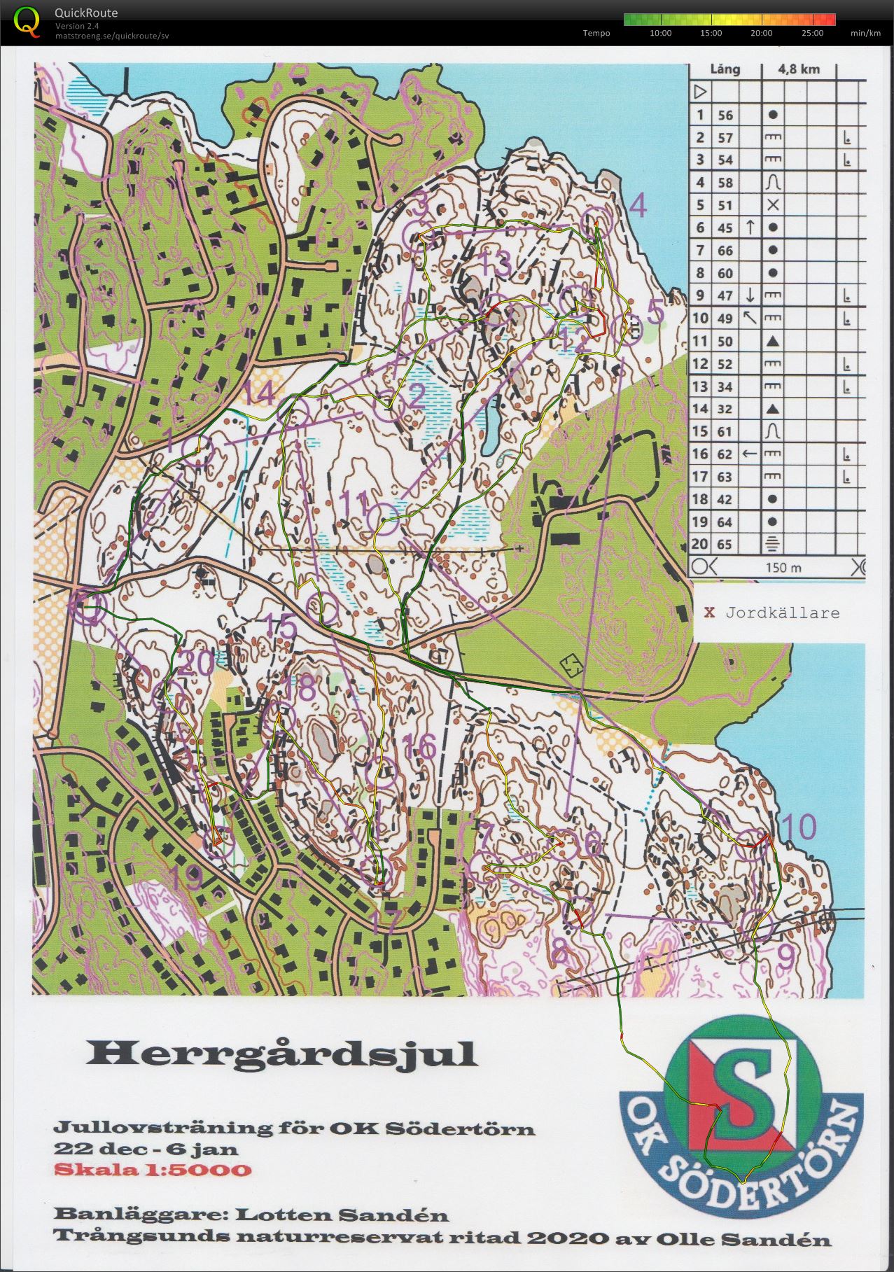 Herrgårdsjul_Lång (2020-12-28)