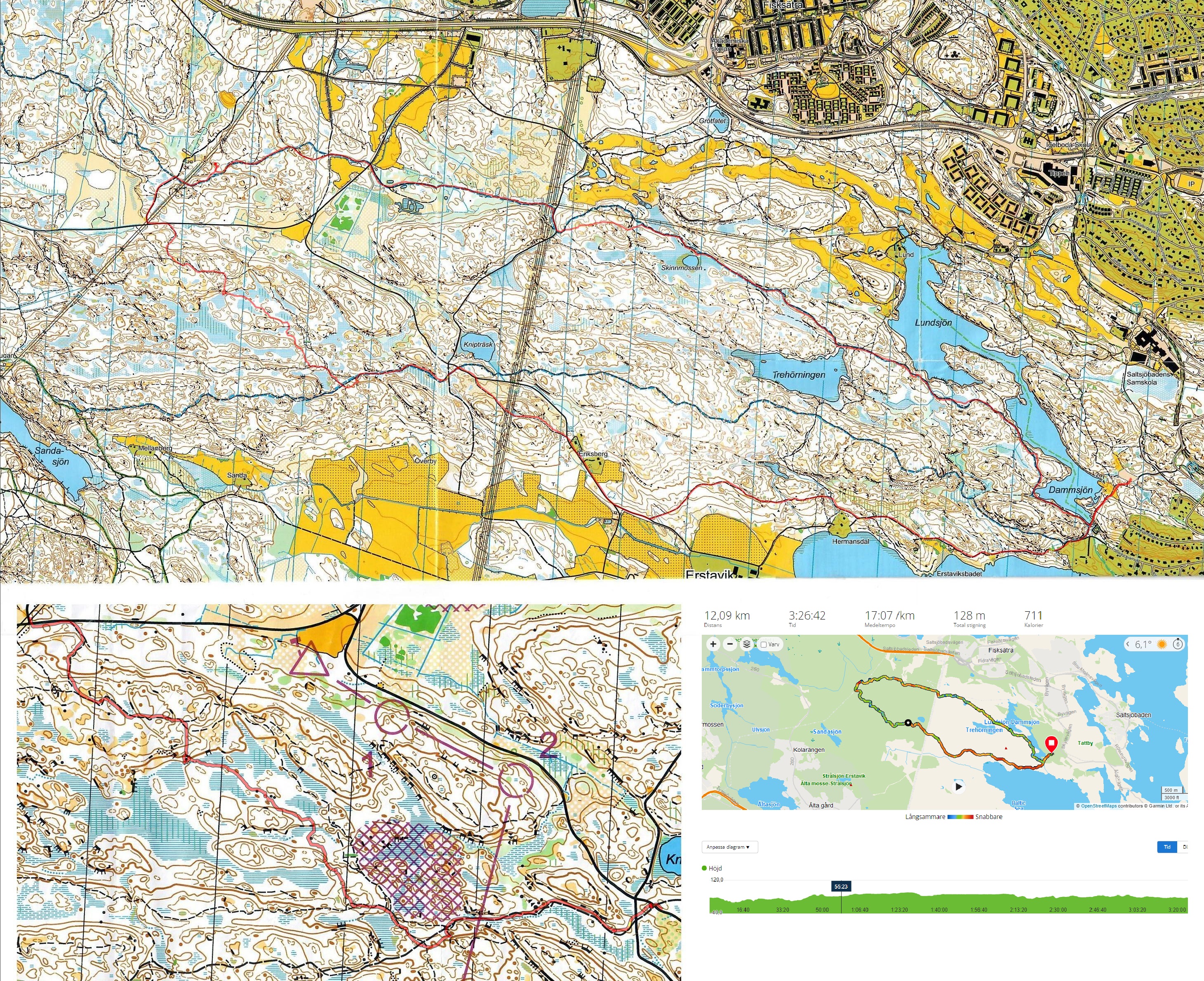 Vandring Saltsjöbaden - Erstavik (2024-11-08)