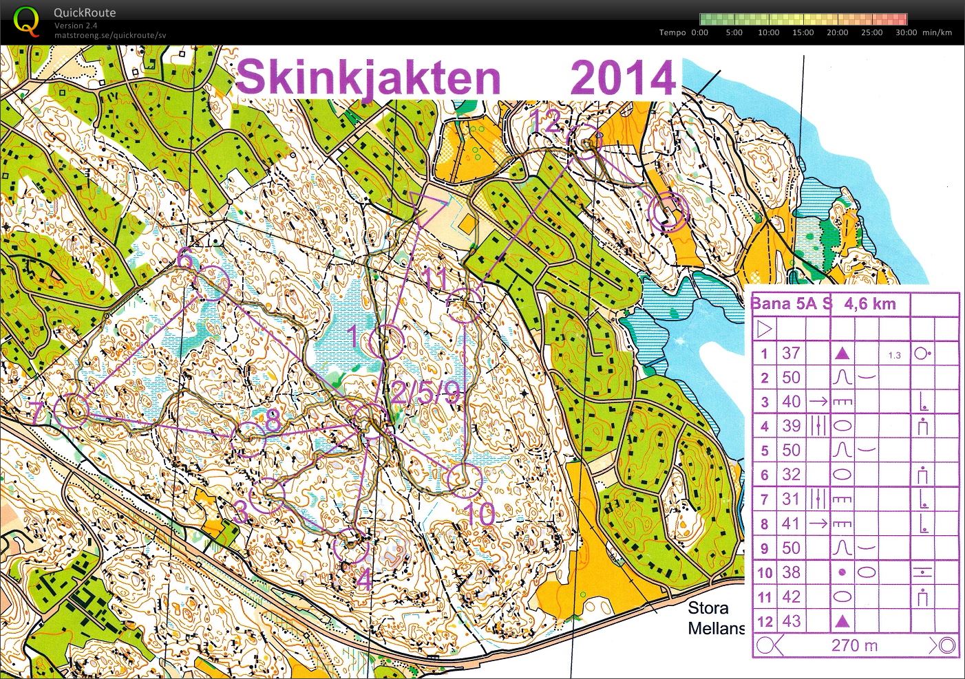 Skinkjakten (2014-12-13)